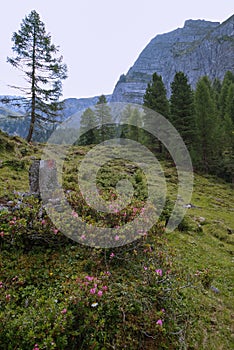 Tettensjoch in Austrian Alps