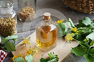 Tetterwort or greater celandine tincture in a glass bottle