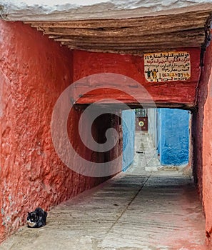 Passage in the medina of Tetuan