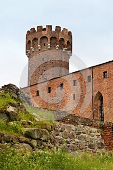 Teutonic castle in Poland (Swiecie)