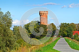 Teutonic castle in Swiecie in sunny day