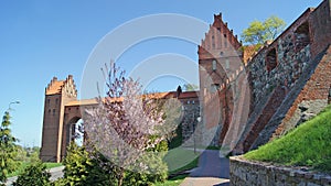 Teutonic Order castle in kwidzyn