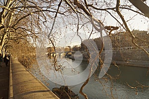 Tevere in Rome photo