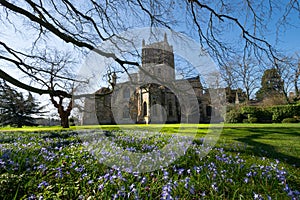 Tewkesbury Abbey with the beautiful blue foreground flowers and blue skies