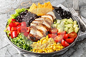 Tex-Mex Santa Fe chicken salad with lettuce, tomatoes, corn, black beans, pepper, avocado, olive closeup on the plate. Horizontal