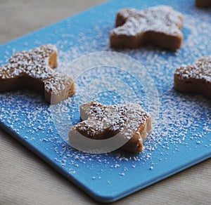 Texas and Airplane Cookies