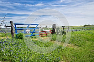 Texas bluebonnet field and fence in spring