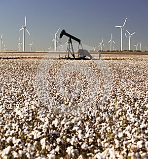 Texas Cotton Filed Textile Agriculture Oil Industry PumpJack