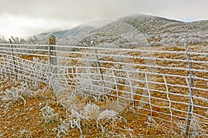 Texas Desert in a Winter Ice Storm