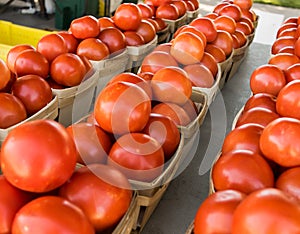 Texas Farmer`s Market Produce Tomatoes