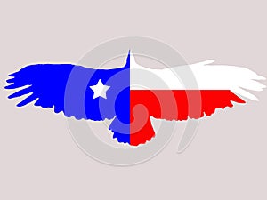 Texas flag