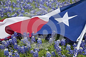 Texas flag among bluebonnet flowers on bright spring day