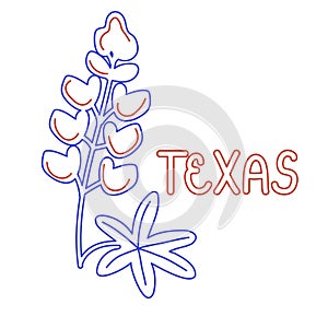 Texas flower symbol photo