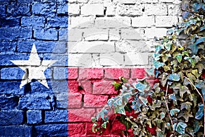 Texas grunge flag on brick wall with ivy plant
