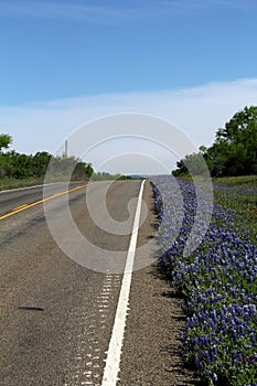 Texas Highway in Spring photo