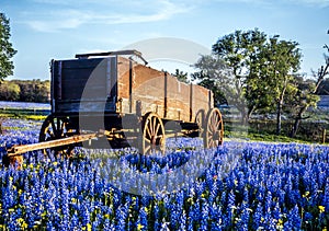 Texas hill country