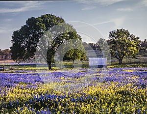 Texas Hill country