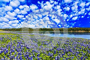 Texas Hill Country photo