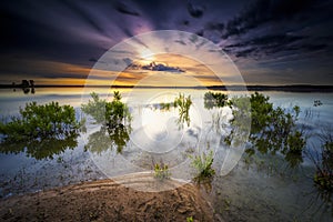 Texas Lake Sunrise