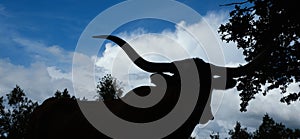 Texas longhorn silhouette against dramatic sky background