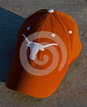 Texas longhorns hat