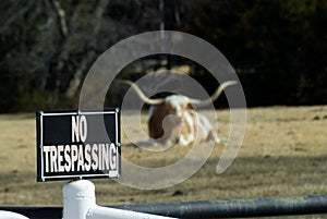 Texas No Trespassing photo