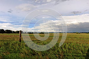 Texas Pasture