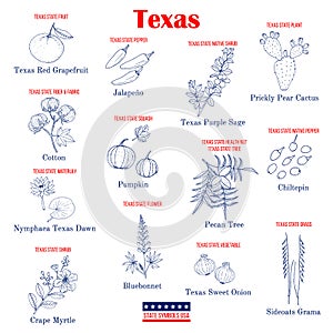 Texas. Set of USA official state symbols