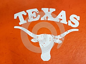 Texas sign and bull face with horns orange background