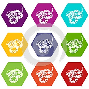 Texas snake icons set 9 vector