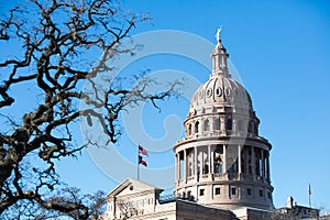 Texas State Capitol Dome with Foreground