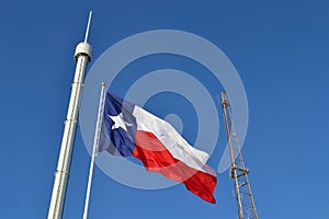 Texas State Fair Flag