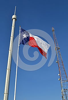 Texas State Fair Flag