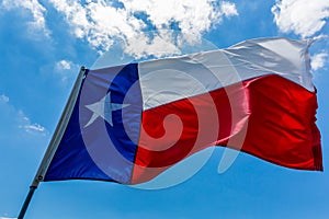 Texas State Flag