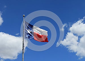 Texas State Flag