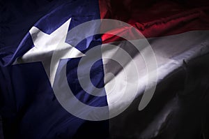 Texas state flag