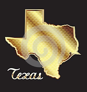 Texas state map