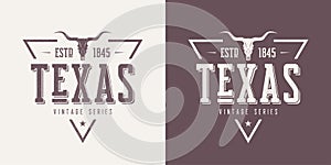 Texas state textured vintage vector t-shirt and apparel design,