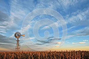 Texas style westernmill windmill at sunset, with a golden colored grain field in the foreground, Argentina