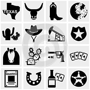 Texas vector icons set on gray.