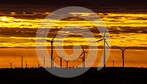 Texas Wind Energy Turbines across the Sunrise