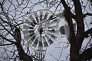 Texas windmill through the trees