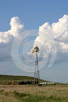 Texas Windmill-Vertical