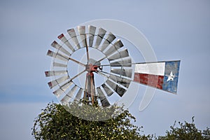 Texas Windmill and Yellow Jasmine in Tolar Texas.