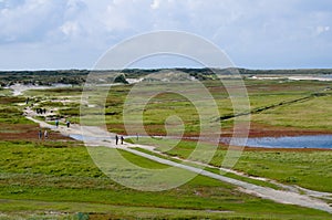 Texel island landscape Holland