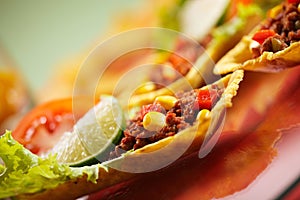 Texmex Tortillas photo