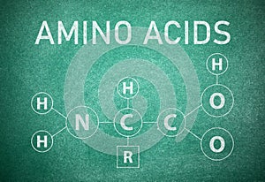 Text AMINO ACIDS and chemical formula written on green chalkboard