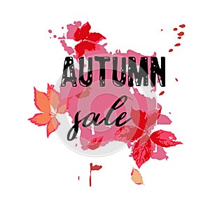 Text Autumn Sale, discount banners.Red leaves with grunge elements, ink drops, abstract background. Vector illustration.