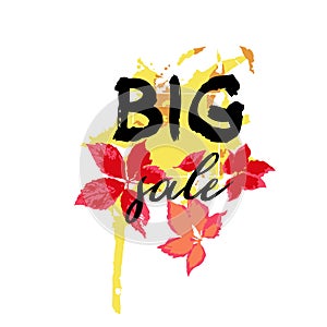 Text Big Sale, discount banners.Red leaves with grunge elements, ink drops, abstract background. Vector illustration.