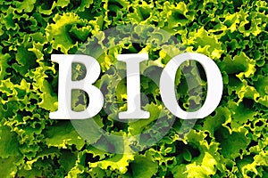 Text Bio from white letters on curly green lettuce. Concept healthy food, diet, detox or summer menu. Top view